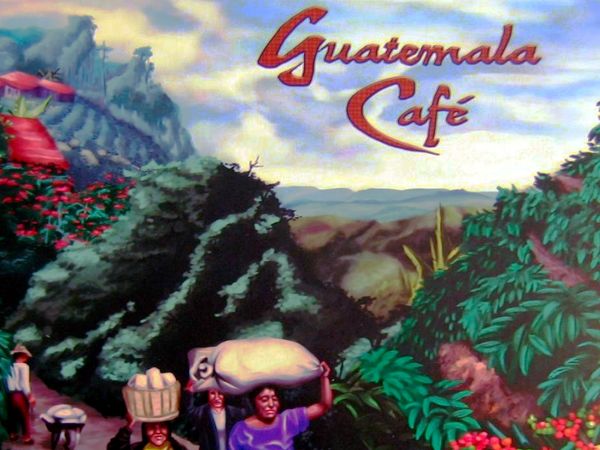 Bild zu Alle Brettspiele-Spiel Guatemala Café